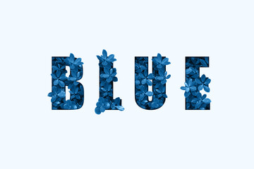 Word BLUE text on white background. 