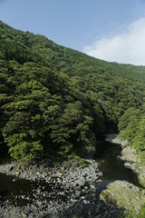 Fototapeta na wymiar 川と森林2　River and forest