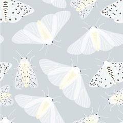vector seamless pattern of white butterflies and moths on gray background,hand drawn picture