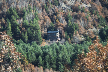 Fototapeta na wymiar secluded house in the middle of the forest on a hillside surrounded by trees