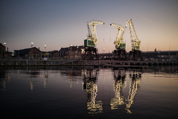 Fototapeta premium Dźwigozaury - Cranesaurs - colorfully illuminated cranes on the quay of Szczecin Łasztownia 