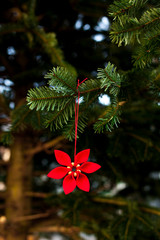 Weihnachtsschmuck dekoration auf Christbaum. Weihnachtsstern. Christmas decoration on christmas tree.