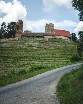 Burg Neipperg in the beautiful national park Stromberg-Heuchelberg