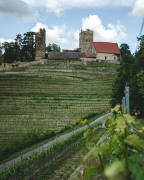 Burg Neipperg in the beautiful national park Stromberg-Heuchelberg