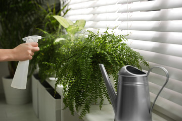 Woman spraying plants near window at home, closeup