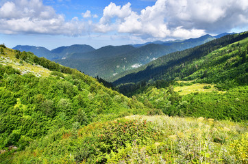 Abkhazia, an area of Gelgeluk in summer morning