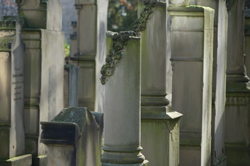 Obraz premium Nahansicht jüdischer Grabsteine (Neustadt an der Weinstraße)