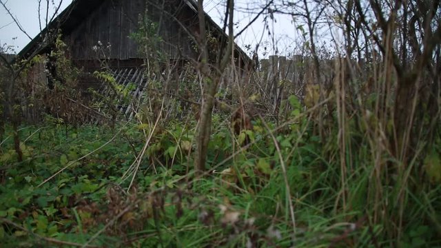 An abandoned old wooden house, overgrown with grass, a rickety fence, black logs