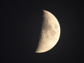 Moon