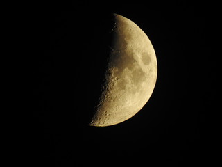 Moon