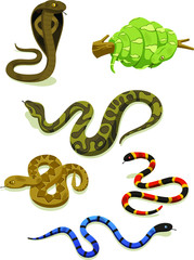 Naklejka premium snakes