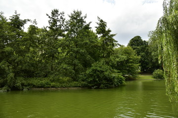 Végétation luxuriante autour de l'étang du parc Léopold contrastant avec le ciel gris au Quartier Européen de Bruxelles