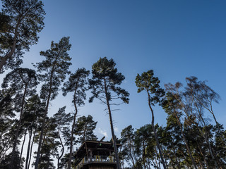 Fototapeta premium BLUE SKY