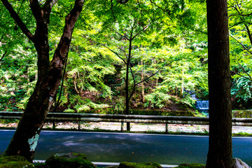 Approach to Okumiya of Kifune Shrine. Sakyo-ku, Kyoto, Japan