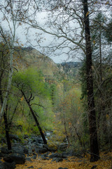 Fall for Planet Sedona