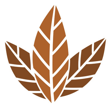 Tobacco leaves vector icon. Flat Tobacco leaves symbol is isolated on a white background.