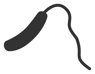 Vibrio cholerae vector icon. Flat Vibrio cholerae symbol is isolated on a white background.