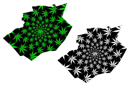 Bechar Province (Provinces of Algeria, Peoples Democratic Republic of Algeria) map is designed cannabis leaf green and black, Bechar map made of marijuana (marihuana,THC) foliage....