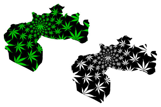 Biskra Province (Provinces of Algeria, Peoples Democratic Republic of Algeria) map is designed cannabis leaf green and black, Biskra map made of marijuana (marihuana,THC) foliage....