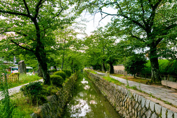 A path called "The Path of Philosophy". Sakyo-ku, Kyoto, Japan