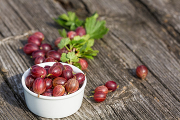 Gooseberries fresh berries in a white plate and wooden background