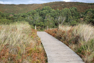 Wooden Footpath and Nature at Xago Beach; Asturias