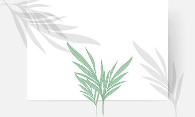 Shadow from tropical leaves on a white background, vector graphics.