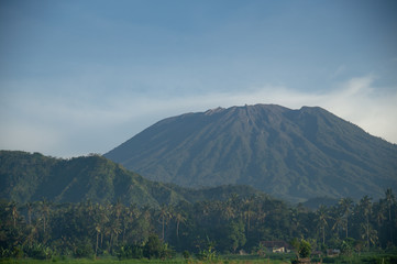 Fototapeta premium Paddy field under the sun. Everything is green against the background of the volcano. Dawn in Bali in Ubud. Indonesia