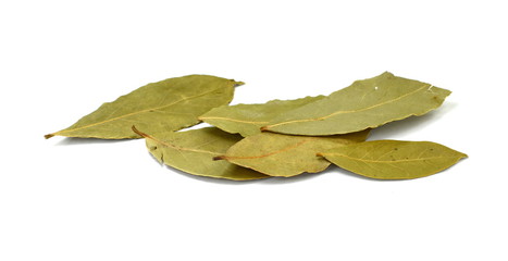 Bay leaves on white background. Spice aromatic.