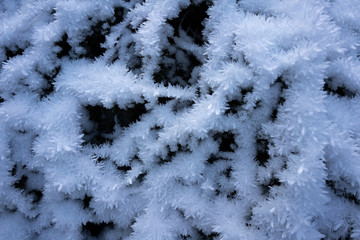 abstract snowy background