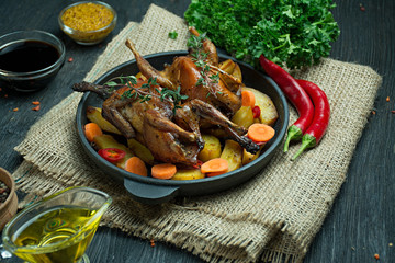Baked quail with vegetables in a pan. Space for text. Dark background.