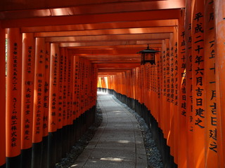 torii des 1000 portes
