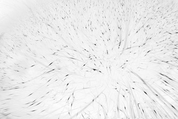 snow whirlwinds blizzards