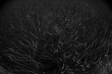 snow whirlwinds blizzards