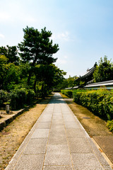 Garden of Kenninji Temple. Higashiyama-ku, Kyoto, Japan