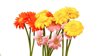 ガーベラの花束