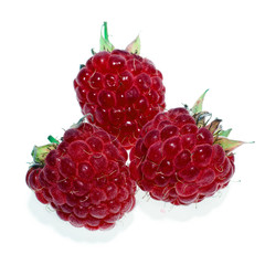 Raspberries isolated on a white background.