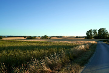 The landscape near the baltic sea