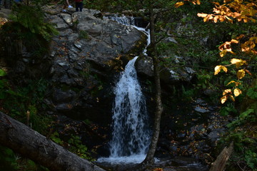 waterfall in the forest
