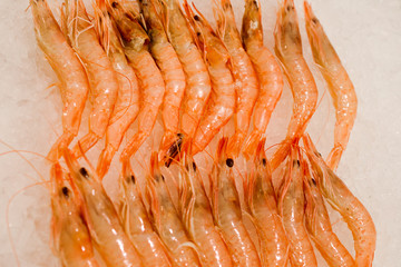 Seafood at the San Miguel Market, Madrid, Spain.
