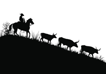 A vector silhouette of a working ranch cowboy herding texas longhorn cows down a hill. - obrazy, fototapety, plakaty