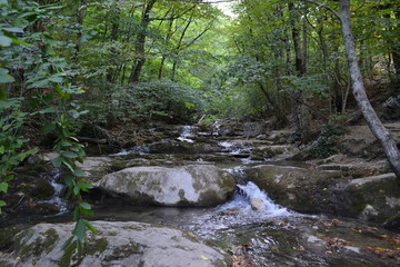nature river landscape