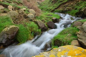 Mourier valley stream, Jersey, U.K. Long exposure of Winter water flowing.