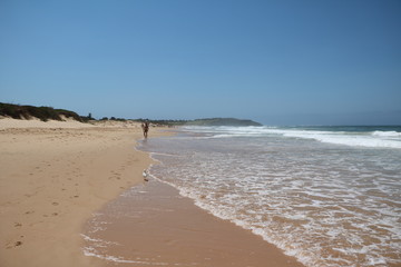 Dee Why Beach goes to  Long Reef beach, Sydney Australia