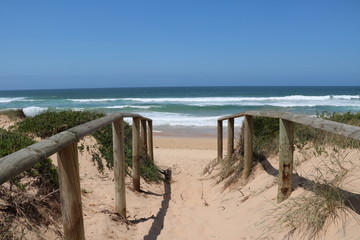 Way between Dee Why Beach and Dee Why Lagoon, Sydney Australia