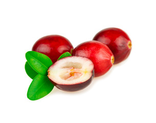 Cranberries red acid berry with green leaves on white background