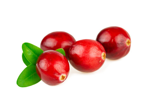Cranberries Red Fresh Cranberry With Green Leaf On White Background