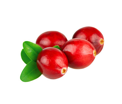 Heap Of Red Cranberries With Green Leaf Isolted On White Background