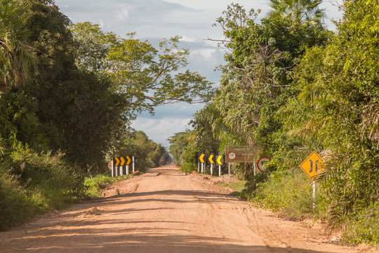 Mud road through the Pantanal, Brazil, South America