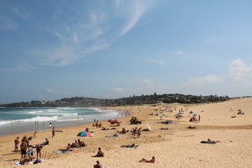 Fototapeta na wymiar Long Reef beach goes to Dee Why Beach, Sydney Australia